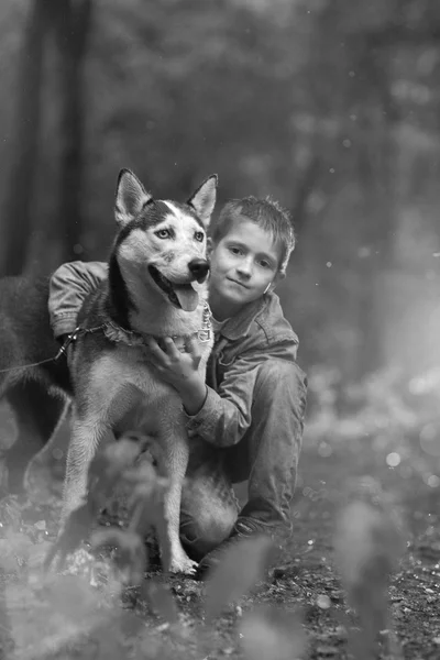 Negro blanco foto chico y su perro husky en el fondo de hojas en primavera — Foto de Stock