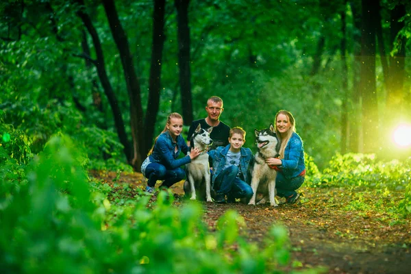Familj med barn och husky hundar i skogen — Stockfoto