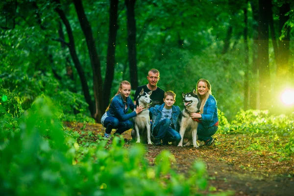 子供、およびフォレストのハスキー犬と家族 — ストック写真