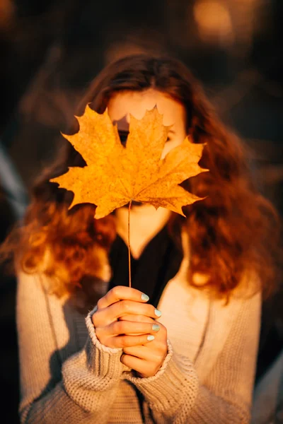 Menina detém folhas de outono no fundo da floresta — Fotografia de Stock