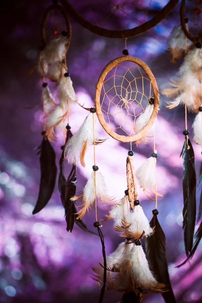 Dreamcatcher mor günbatımı karanlık bir arka plan — Stok fotoğraf