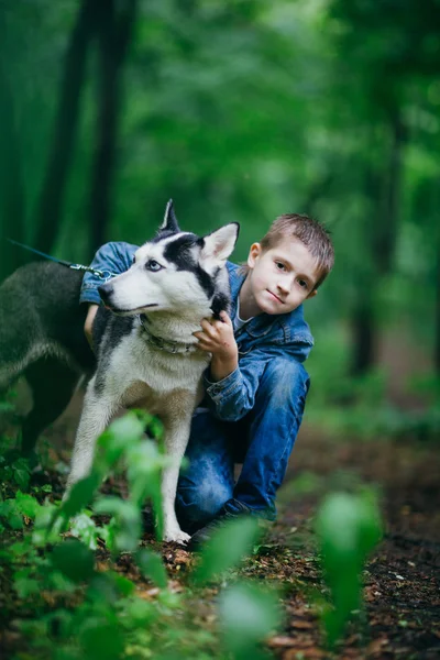 Pojke och hans hund husky på bakgrund av bladen på våren — Stockfoto