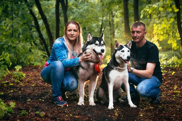 Familia con perros husky en el bosque —  Fotos de Stock