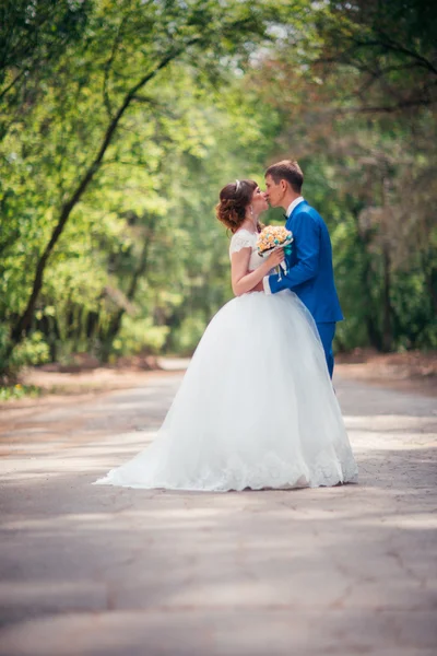 Fiatal menyasszony és a vőlegény ölelni a háttérben, az erdő az út — Stock Fotó