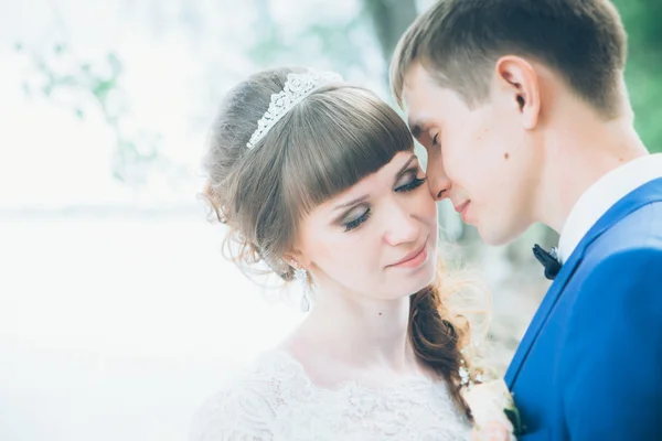 Sposa e sposo in piedi baci sullo sfondo della natura — Foto Stock