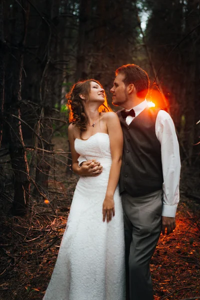 葉の背景に劇的な写真花嫁新郎森のバックライト — ストック写真