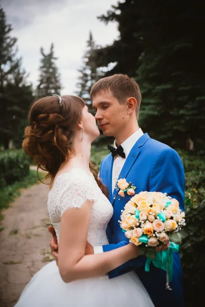 Noiva e noivo beijando no fundo da natureza — Fotografia de Stock