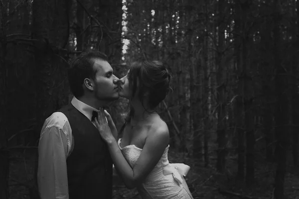 Black and white photo of bride  groom on the background  leaves  wood backlight — Stock Photo, Image