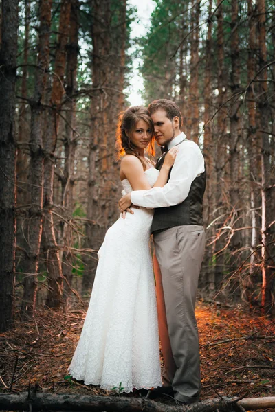 Dramático imagem noiva e noivo no fundo das folhas floresta backlight — Fotografia de Stock