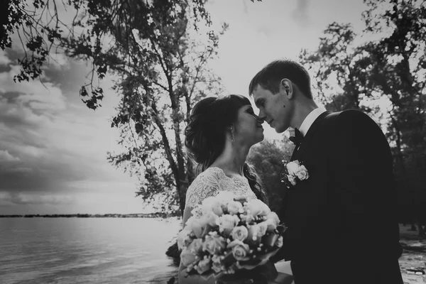 Чорно-біле фото нареченого, що стоїть, цілується на фоні природи — стокове фото