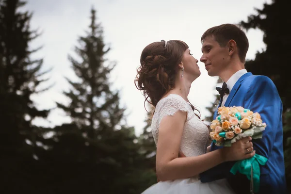 Gelin ve damat doğanın arka planında öpüşüyorlar. — Stok fotoğraf