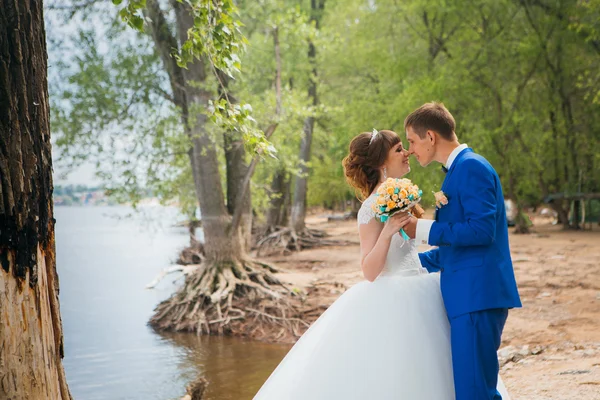 Bride and groom standing kissing in the background of the nature — Stock Photo, Image