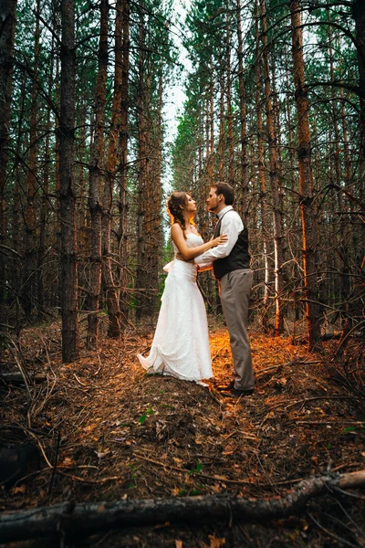 Dramático imagem noiva e noivo no fundo das folhas floresta backlight — Fotografia de Stock