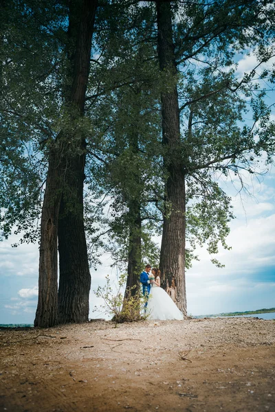 신부 및 신랑 서 포옹 나무 배경 — 스톡 사진