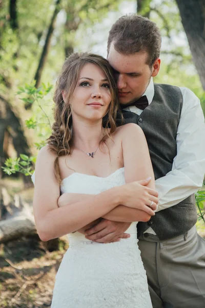 Bride and groom standing arm in  against the background grass  lakes — Stock Photo, Image