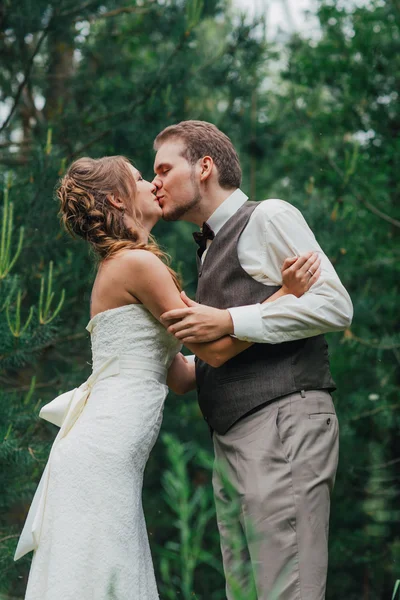 Noiva e noivo beijando no fundo da floresta — Fotografia de Stock