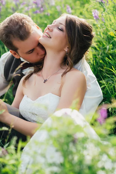 Retrato de la novia y el novio descansando sobre un fondo de lavanda —  Fotos de Stock