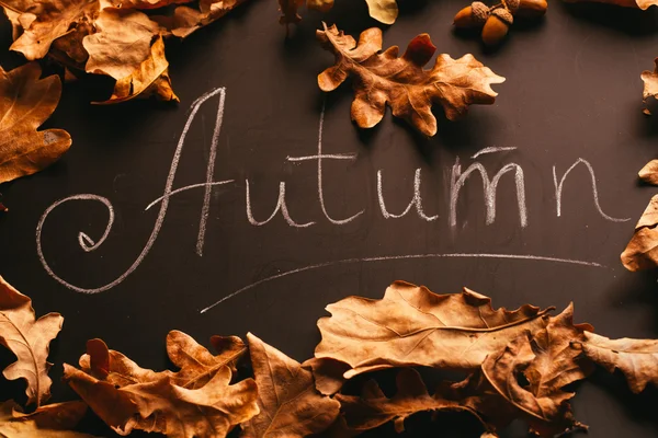 Folhas amarelas e a inscrição outono em um estilo vintage blackboard — Fotografia de Stock