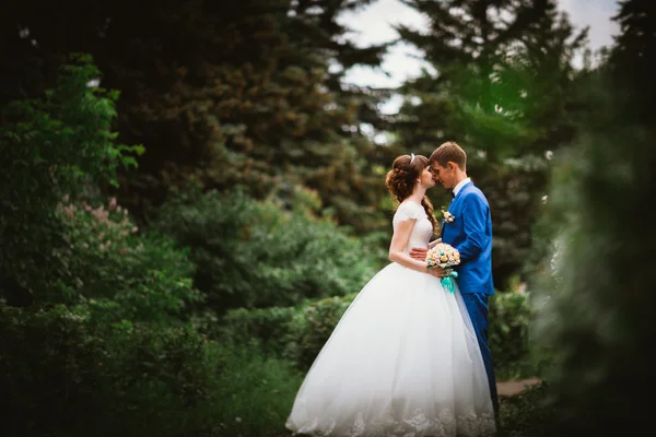 Наречений і наречений стоять на тлі природи — стокове фото