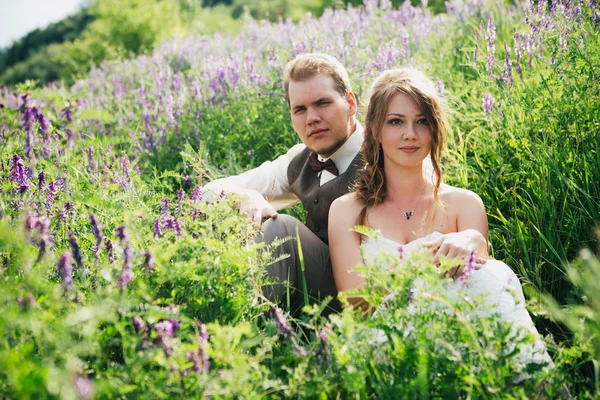 新娘和新郎在薰衣草背景上休息的肖像 — 图库照片