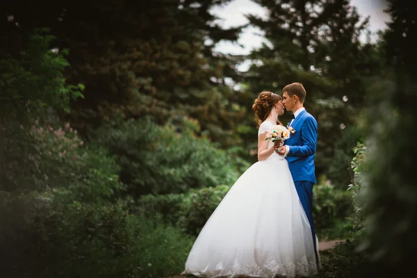 Novia y novio de pie sobre el fondo de la naturaleza — Foto de Stock