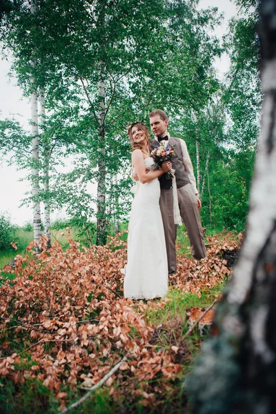 新娘和新郎为背景，树叶森林拥抱 — 图库照片