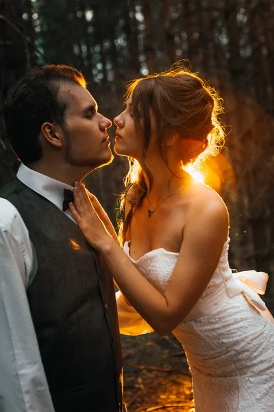 Dramatický obraz nevěsty a ženicha na pozadí listí lesní podsvícení — Stock fotografie