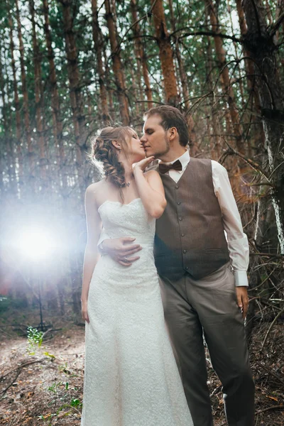 Image dramatique mariée et marié sur le fond de feuilles forêt contre-jour — Photo