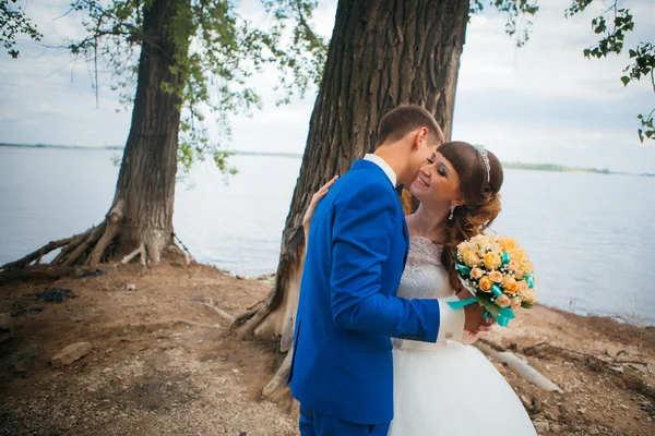 Noiva e noivo beijando no fundo das árvores — Fotografia de Stock