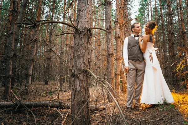 Dramatický obraz nevěsty a ženicha na pozadí listí lesní podsvícení — Stock fotografie