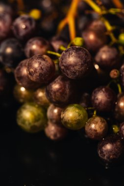 Meyveler olgun kırmızı üzüm şube yakın Tarih