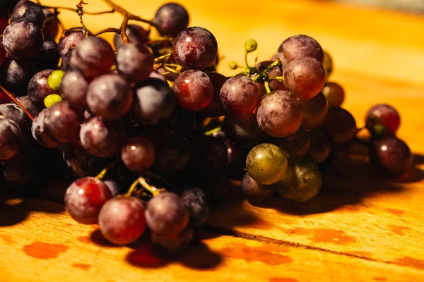 Meyveler olgun kırmızı üzüm şube yakın çekim üzerinde arka plan bulanık