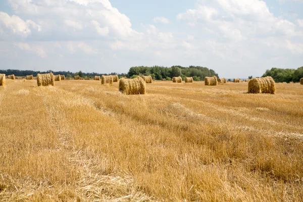 Hay bale or sheaf in a cold day — Stock Photo, Image