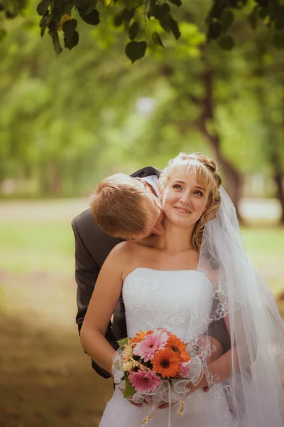 Наречений і наречений в парку цілує. пара молодята наречена і наречений на весіллі в природі зелений ліс цілують фотопортрет. — стокове фото