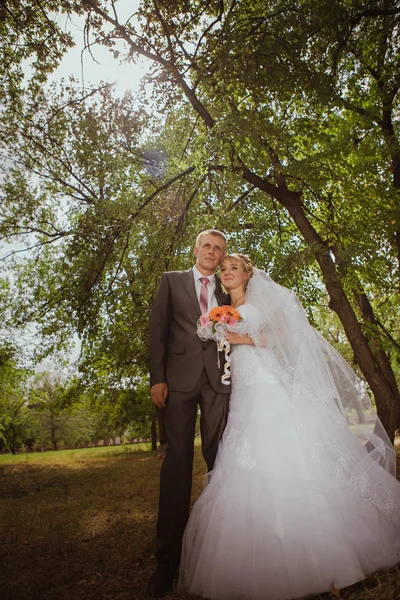 Menyasszony és a vőlegény, a park kissing.couple ifjú menyasszony és a vőlegény egy esküvőn, természet zöld erdőben csók fotó portré. Esküvői pár szerelem — Stock Fotó