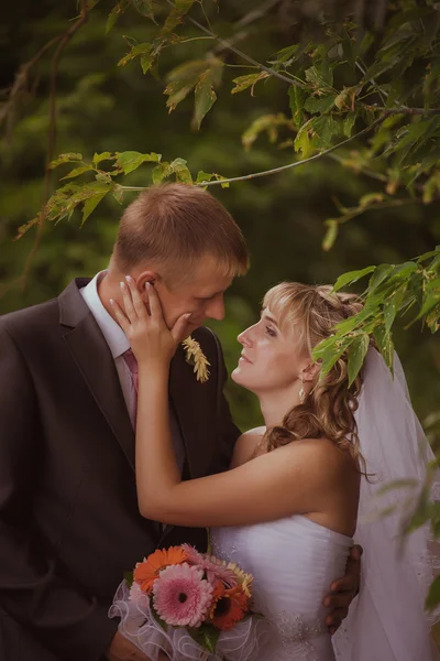 Novia y novio en un parque kissing.couple recién casados novia y novio en una boda en la naturaleza verde bosque se besan foto portrait.Wedding Amor Pareja — Foto de Stock