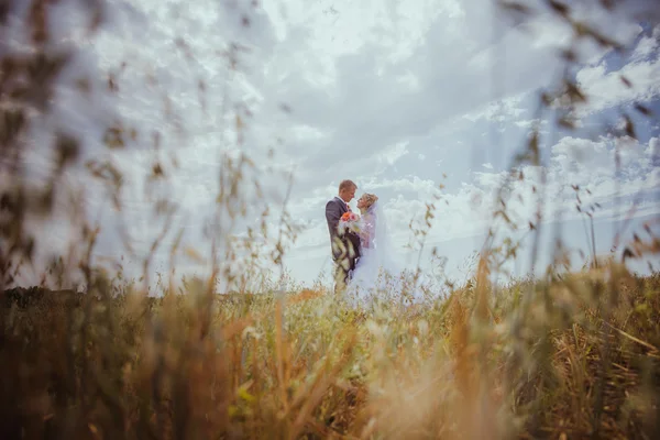 Bela noiva e noivo em pé na grama e beijando. Casamento casal moda atirar . — Fotografia de Stock