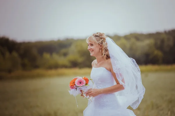 フィールド上の花嫁 — ストック写真