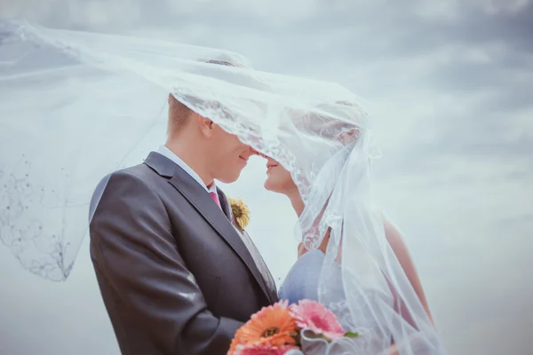 Hochzeitspaar küsst sich im hohen Gras — Stockfoto