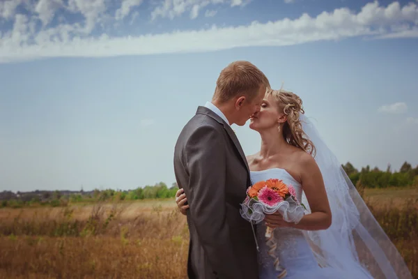 Hochzeitspaar küsst sich im hohen Gras — Stockfoto