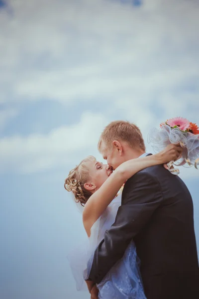 Kissing wedding couple in high grass — Stock Photo, Image