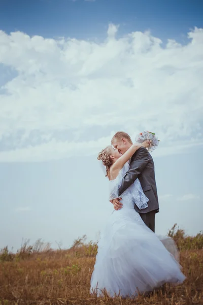 Hochzeitspaar küsst sich im hohen Gras — Stockfoto