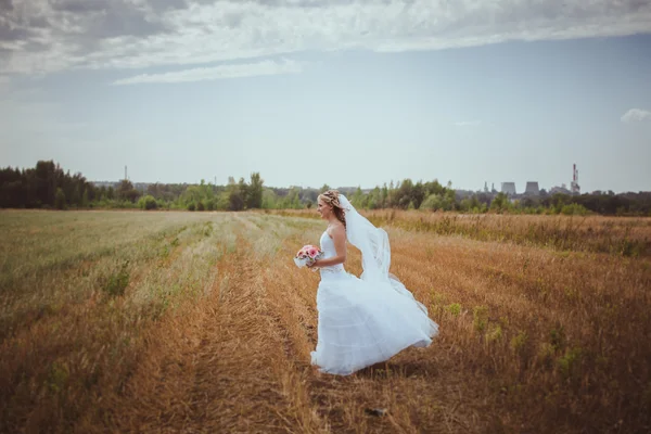 Bride on the field — Stock Photo, Image