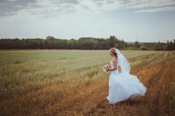 Bride on the field — Stock Photo, Image