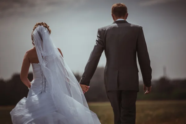 Bella sposa e lo sposo in piedi in erba e baci. Matrimonio coppia moda sparare . — Foto Stock