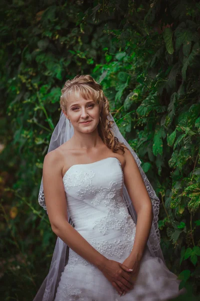 Retrato de una hermosa novia sonriente — Foto de Stock