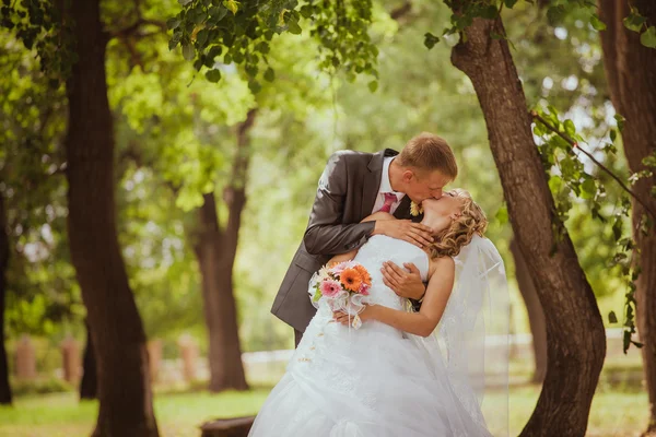 Gelin ve damat bir park kissing.couple yeni evli gelin ve damat doğa yeşil orman bir düğünde fotoğraf portre öpüşme. Düğün çift aşk — Stok fotoğraf