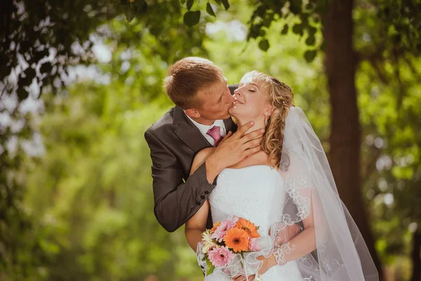 Noiva e noivo em um parque beijando.casal recém-casados noiva e noivo em um casamento na natureza floresta verde estão beijando foto retrato.Casamento Casal Amor — Fotografia de Stock