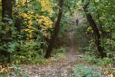 Ormandaki Bisiklet adamla