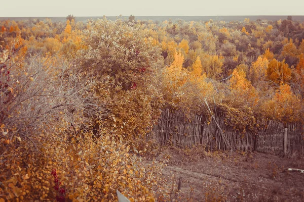 Bela floresta de outono no parque nacional — Fotografia de Stock